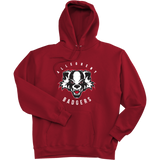 Scary Badgers Super Heavyweight Fleece Hoodie